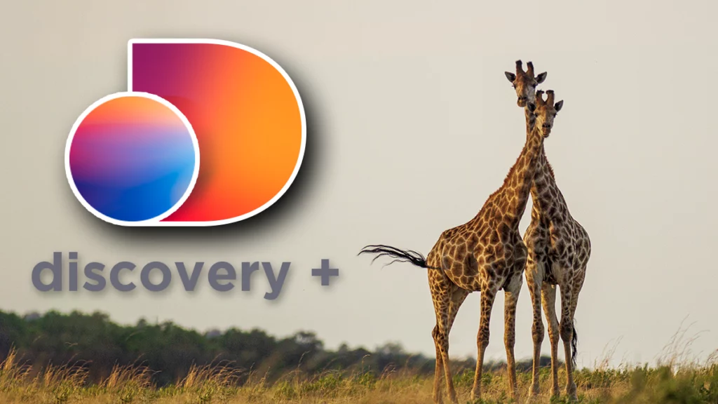 discovery plus