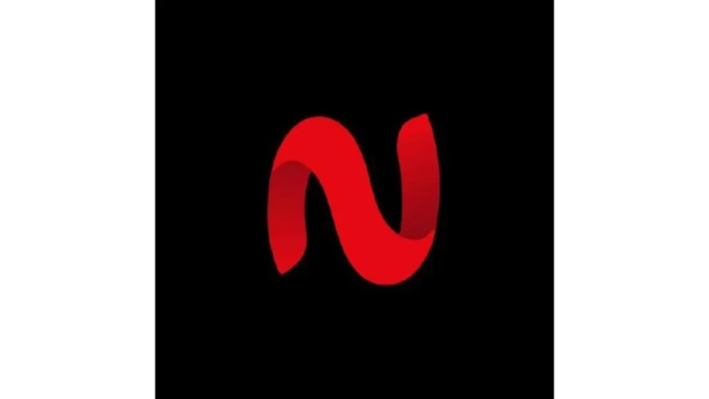 netmirror logo display on website