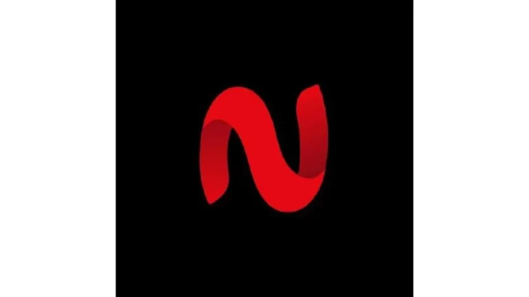 netmirror logo display on website