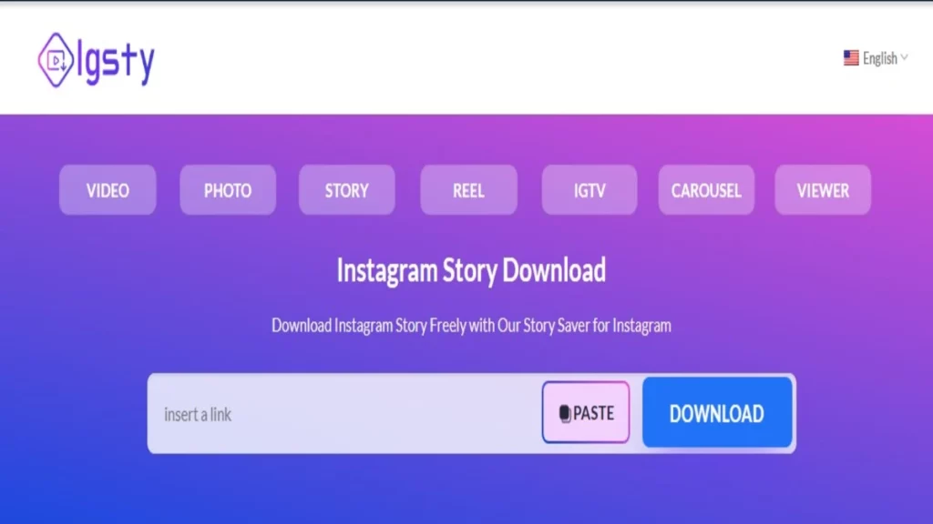 homepage viewers of instagram downloader igsty com